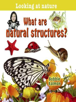 cover image of What Are Natural Structures?